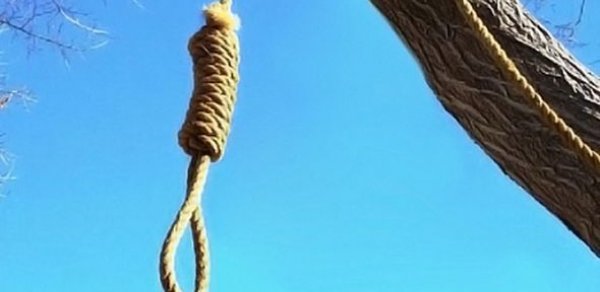 Binəqədidə yaşlı kişi özünü zeytun bağında asdı