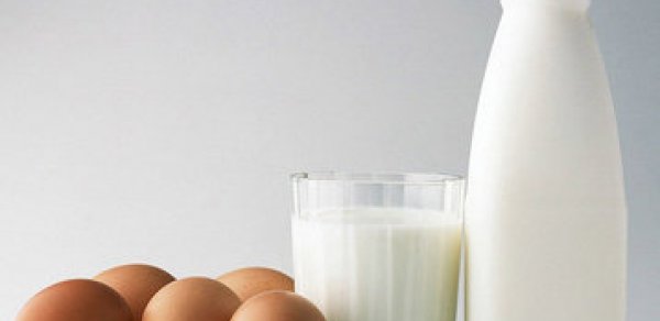 Bəzi süd məhsulları və yumurta ucuzlaşıb