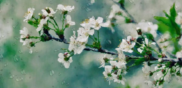 Sabaha olan hava proqnozu açıqlandı