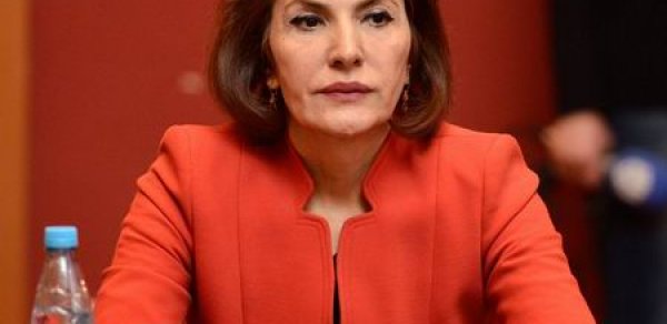 “Bu məsələnin kökündə, mənəvi kasadlıq dayanır" – Sona Vəliyeva