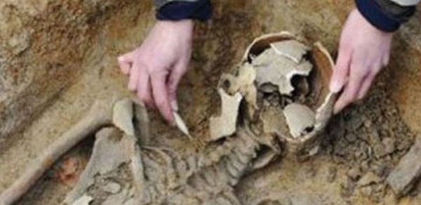 “Torqovı”dan insan sümükləri tapıldı - VİDEO