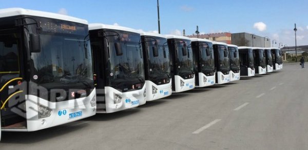 Aeroport yolunda yeni avtobuslar - FOTO