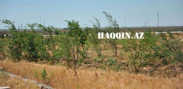 Bakıda biabırçı hadisə - Nazirlikdən şok açıqlama