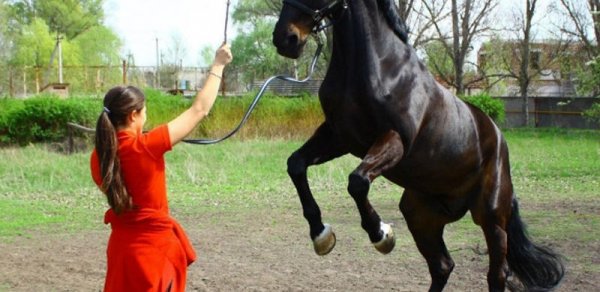 13 yaşlı qız faciəli şəkildə öldü - TƏFƏRRÜATLAR
