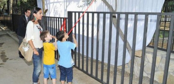 Leyla Əliyeva Bakı Zooloji Parkında yeni qəfəsin açılışında – FOTO