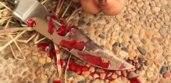 Bakıda "ana qeyrəti" ana ürəyini parçaladı - 10 bıçaqla