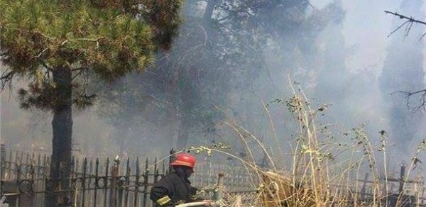 Bakıda qəbirstanlıq yanır- FOTO