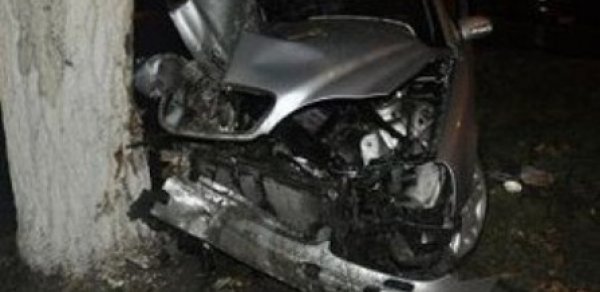 “Mercedes” ağaca çırpıldı, sürücü öldü - Zaqatalada