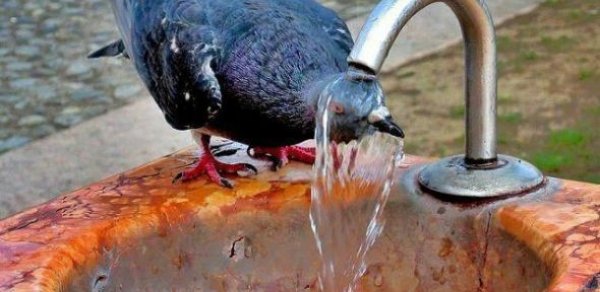 Havanın temperaturu 40 dərəcəyə yüksələcək