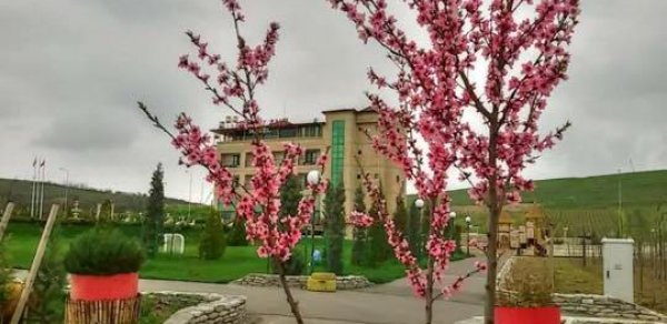 Azərbaycanlıların istirahət üçün seçdiyi məkan - “Qobuland”