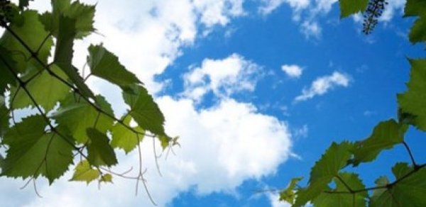 Sentyabrda hava necə olacaq?-  PROQNOZ