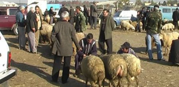 Bərdə bazarında ölüm hadisəsi baş verib