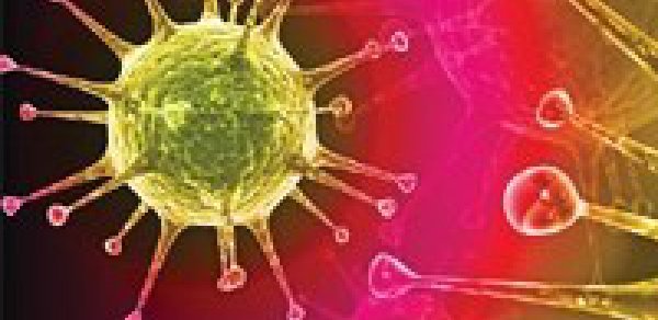 Prostat vəzi xərçəngi hər il 300 min can alır