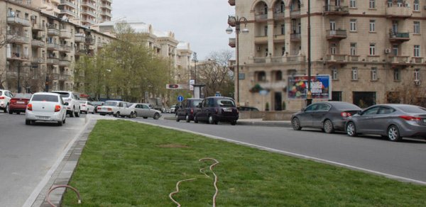 "Biz onlarla bacara bilmirik" -Nazirliyin fəryadı