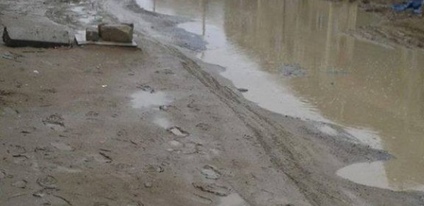 Süleyman Mikayılovun "Venesiyası"ndan - FOTOLAR