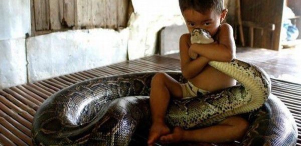 Braziliyada 1 yaş 6 aylıq uşaq zəhərli ilanı gəmirərək öldürdü
