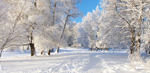 Azərbaycanda qış fəslinin hava proqnozu