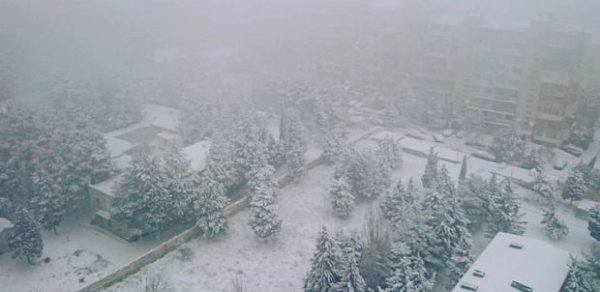 Bakıda Yeni ilin ilk günü qar yağdı -  FOTOLAR