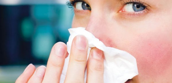 Azərbaycanda yayılan virus "Donuz qripi"dirmi?