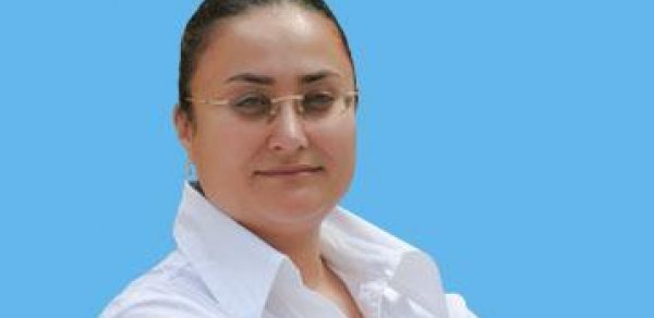 ANS-in Böyük Sevasına ağır itki