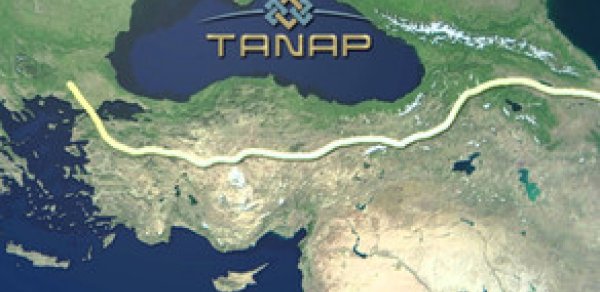 SOSİAL