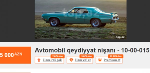SOSİAL