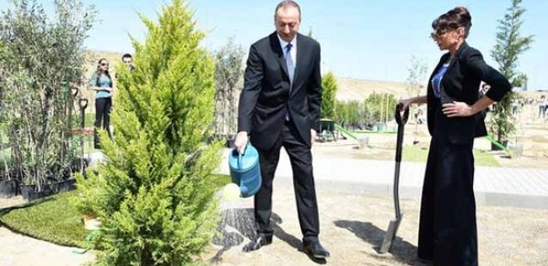 SOSİAL