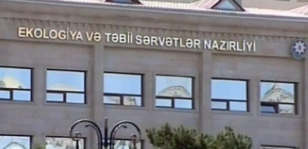 SOSİAL