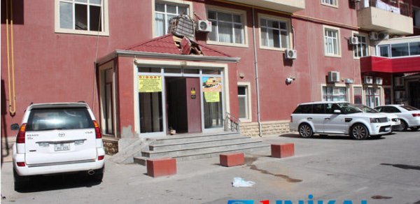 SOSİAL