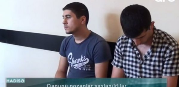 SOSİAL