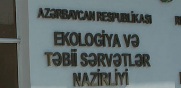 SOSİAL