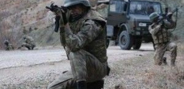 SOSİAL