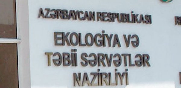 SOSİAL