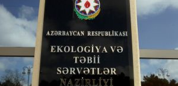 SOSİAL