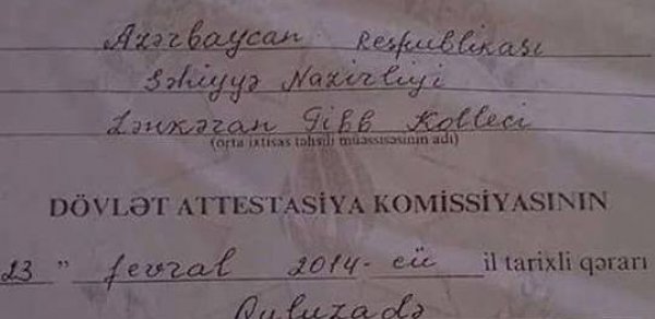 SOSİAL