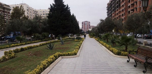SOSİAL