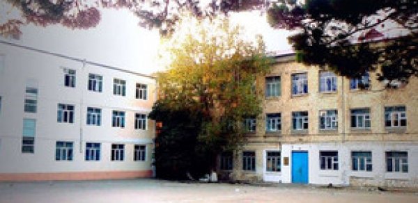 SOSİAL