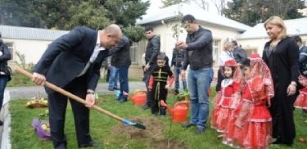 Nəsimi rayonunda silsilə ağacəkmə kampaniyası keçirildi