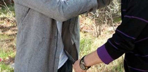 SOSİAL