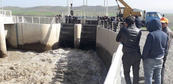 Qubada buzov kanala düşdü, çıxartmaq istəyən iki nəfər suda batdı