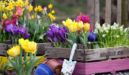 Sabaha olan hava proqnozu açıqlandı