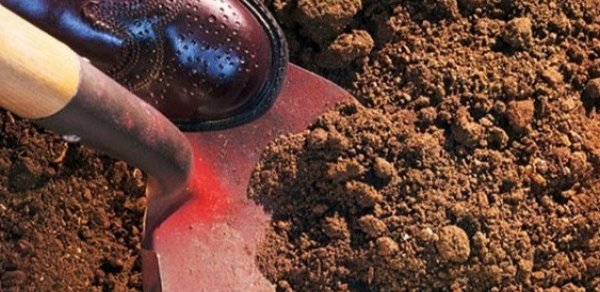 50 gündür itkin düşən kişinin cəsədi tapıldı - Qətlə yetirilibmiş...