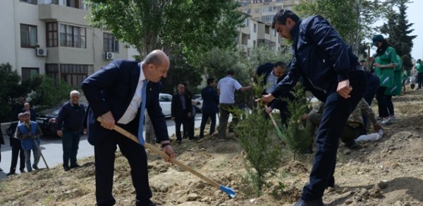 Nəsimi rayonunda ümumrayon iməcliyi keçirildi - Foto