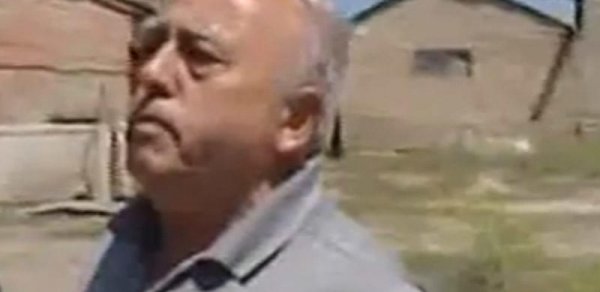 Ağacları kəsib, günahı dovşanların üzərinə atdı - Bakıda - VİDEO