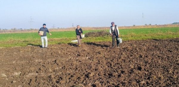 Oliqarxların zəbt etdiyi torpaqlar əllərindən alındı - SİYAHI