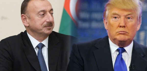 SİYASƏT