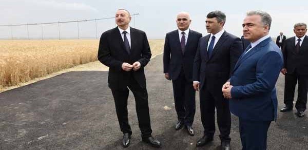 "İşsizliyin azaldılması ilə bağlı əlavə addımlar atılacaq" - Prezident