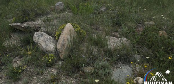 Azərbaycan ordusunun işğaldan azad etdiyi kənddən - REPORTAJ