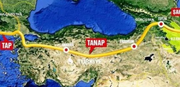SİYASƏT