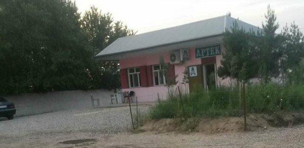 İnsan və heyvan dərmanları eyni aptekdə satılır - Kürdəmirdə əhali təhlükədə